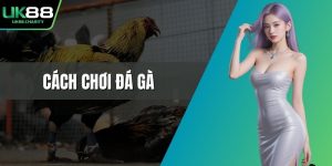 Cách chơi đá gà