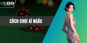 Cách chơi xí ngầu