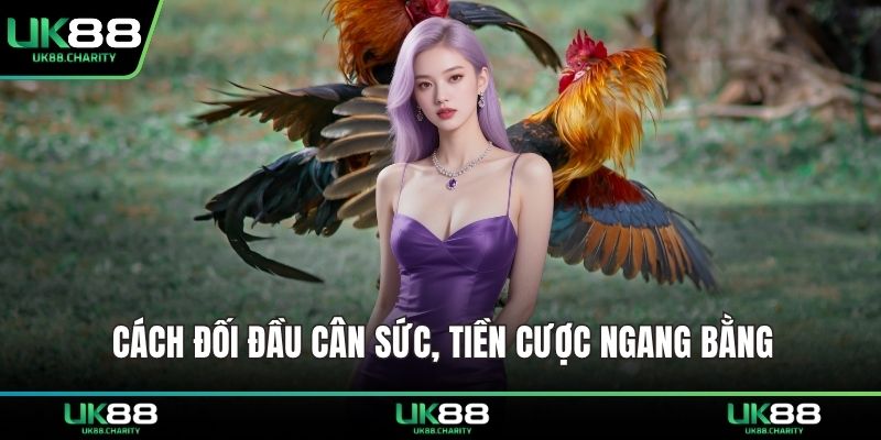Cách đối đầu cân sức, tiền cược ngang bằng