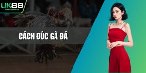 Cách đúc gà đá