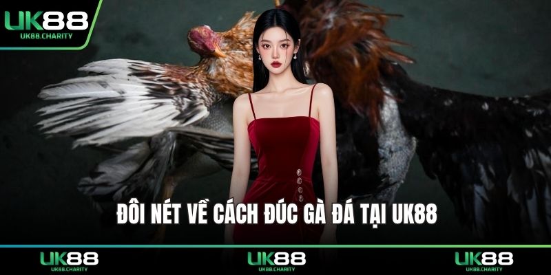 Đôi nét về cách đúc gà đá tại UK88