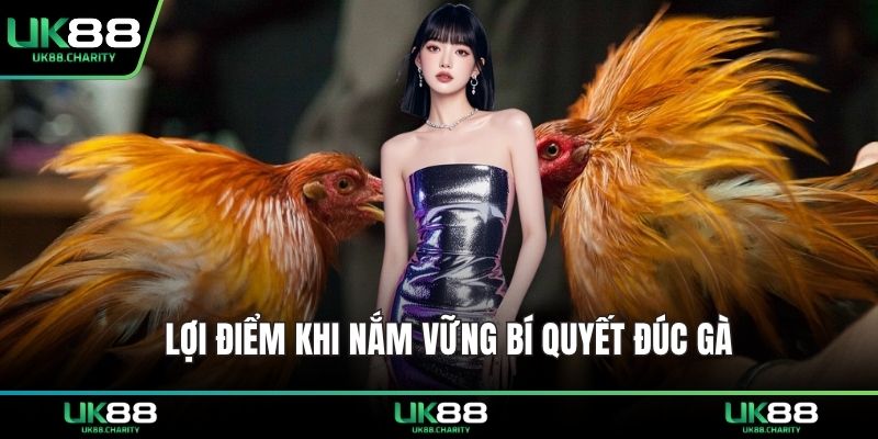 Lợi điểm khi nắm vững bí quyết đúc gà