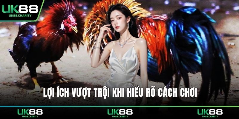 Lợi ích vượt trội khi hiểu rõ cách chơi