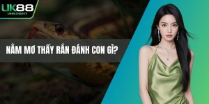 Nằm mơ thấy rắn đánh con gì?