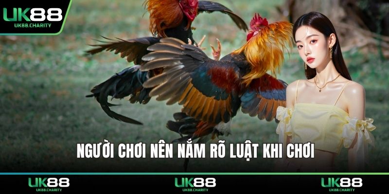 Người chơi nên nắm rõ luật khi chơi