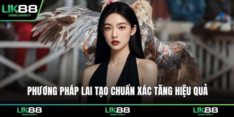 Phương pháp lai tạo chuẩn xác tăng hiệu quả 