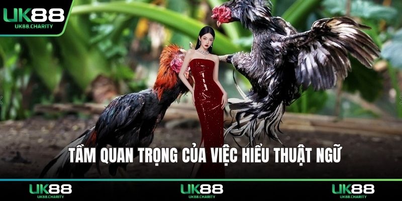 Tầm quan trọng của việc hiểu thuật ngữ