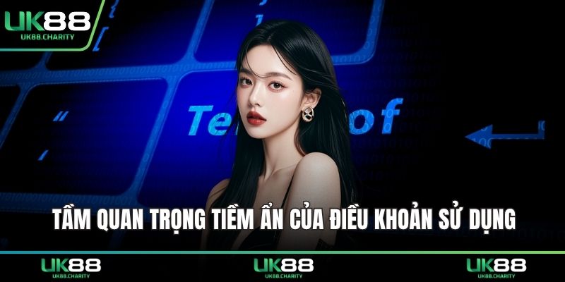 Tầm quan trọng tiềm ẩn của điều khoản sử dụng