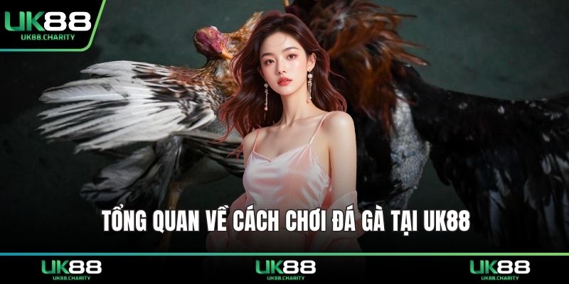 Tổng quan về cách chơi đá gà tại UK88