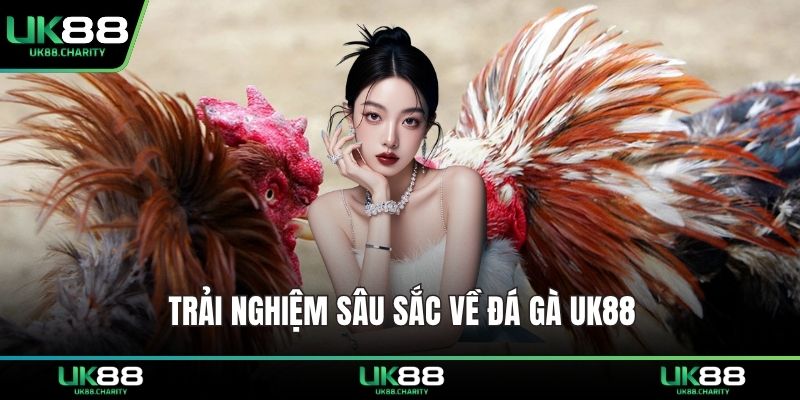 Trải nghiệm sâu sắc về đá gà UK88