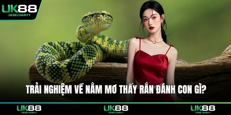 Trải nghiệm về nằm mơ thấy rắn đánh con gì?